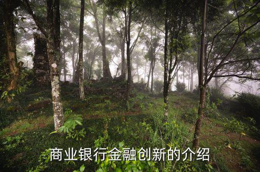 什么是金融創(chuàng)新，商業(yè)銀行金融創(chuàng)新的介紹