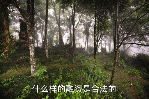 什么是合法的融資，什么是合法融資
