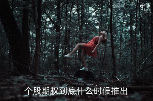 什么時(shí)候推出個(gè)股期權(quán)，股票期權(quán)什么時(shí)間開始