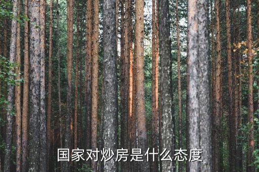 在中國(guó)為什么國(guó)家允許炒房，在中國(guó)為什么民眾熱衷炒房