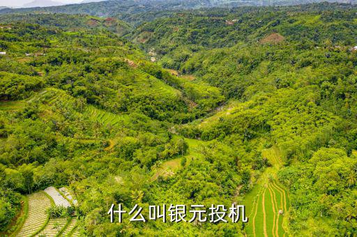 什么叫貨幣投機(jī)，什么是投機(jī)性的貨幣需求