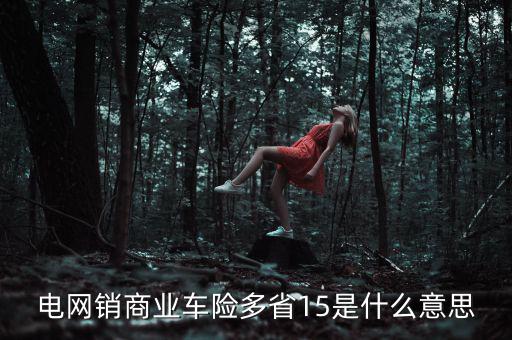 電網(wǎng)銷是什么意思，電網(wǎng)銷商業(yè)車險(xiǎn)多省15是什么意思