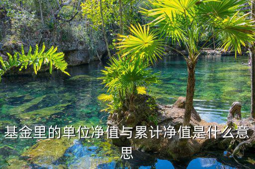 基金凈值和累計(jì)凈值是什么，基金里的單位凈值與累計(jì)凈值是什么意思