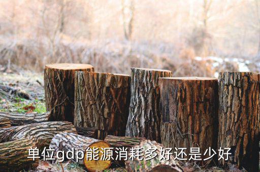 單位GDP越高說(shuō)明什么，GDP代表著什么