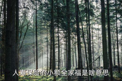 人壽全家福是什么意思，人壽保險的小額全家福是啥意思