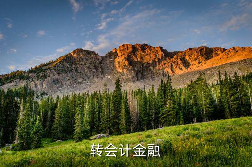 什么是外匯飽和，國外網(wǎng)友說要轉(zhuǎn)外幣給我叫我轉(zhuǎn)給她國內(nèi)的朋友她國內(nèi)的朋友銀