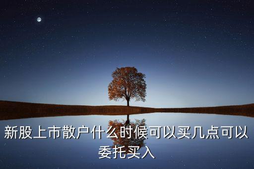 新股上市散戶(hù)什么時(shí)候可以買(mǎi)幾點(diǎn)可以委托買(mǎi)入