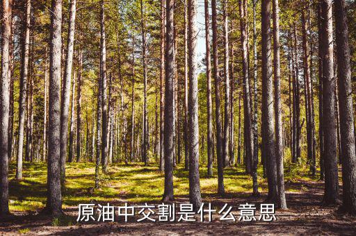 買(mǎi)原油第二天為什么系統(tǒng)自動(dòng)交割，原油為什么會(huì)自動(dòng)平倉(cāng)