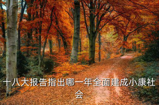 到2020年全面小康什么時候提出的，我國基本小康實現(xiàn)的時間