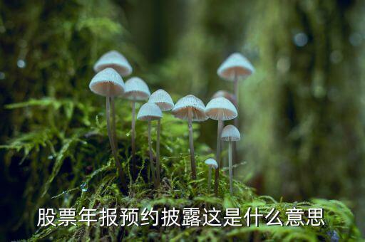 股票披露是什么意思，股票年報(bào)預(yù)約披露這是什么意思