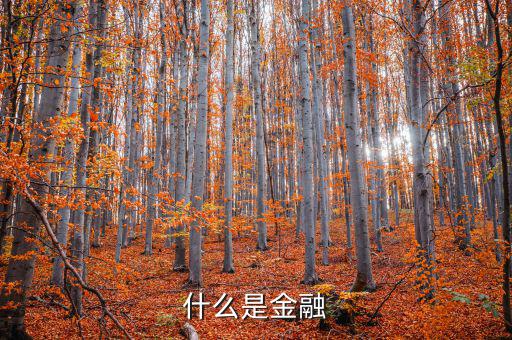金融是什么，什么是金融