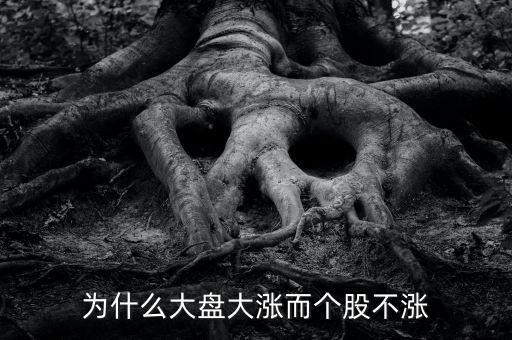 板塊都漲我的個(gè)股不長(zhǎng)什么原因，為什么大盤(pán)大漲而個(gè)股不漲