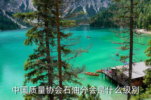 中質(zhì)協(xié)獎(jiǎng)屬于什么級(jí)別，國藝杯屬于什么級(jí)別的獎(jiǎng)項(xiàng)
