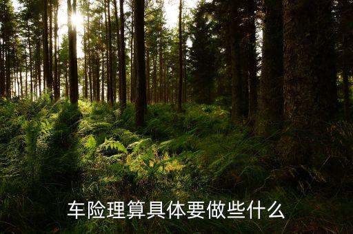 車險理算崗具體做什么，車險車物理算做什么的