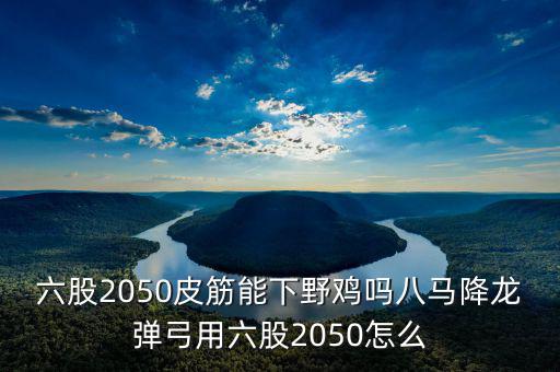 2050四股能下什么貨，2050四股到底配多大的鋼O合適
