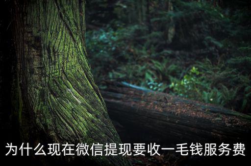 微信提現(xiàn)為什么要收費(fèi)，為什么現(xiàn)在微信提現(xiàn)要收一毛錢服務(wù)費(fèi)