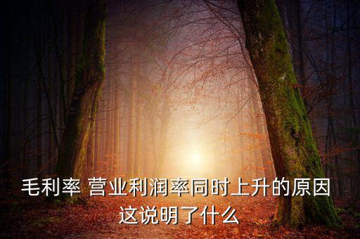 毛利率增長說明什么，增值稅毛利率的高低說明什么