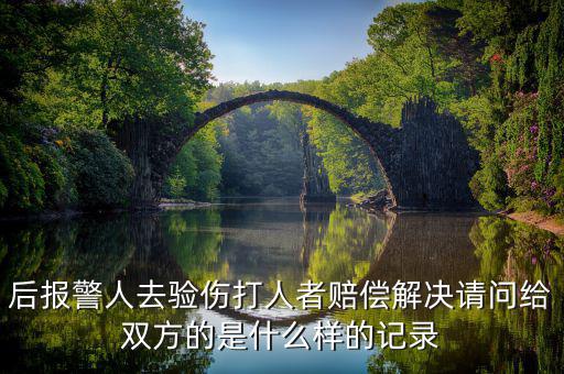 什么是賠償記錄，什么是無(wú)賠款優(yōu)待及上年賠款記錄系數(shù)