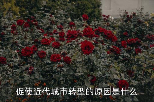 為什么城鎮(zhèn)化要轉(zhuǎn)型，促使近代城市轉(zhuǎn)型的原因是什么