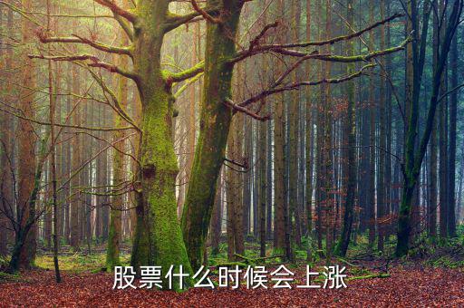 股票在什么情況下才會漲，股票什么時(shí)候會上漲