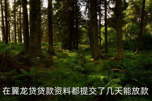 翼龍貸什么時候放項目，在翼龍貸貸款資料都提交了幾天能放款