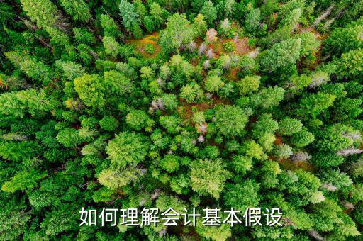 如何理解會計基本假設