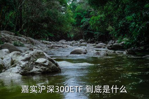 深證etf是什么，ETF 是什么意思