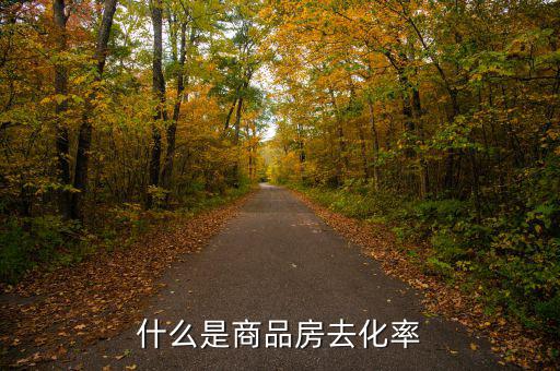 什么是新開樓盤去化率，房產(chǎn)去化率是什么