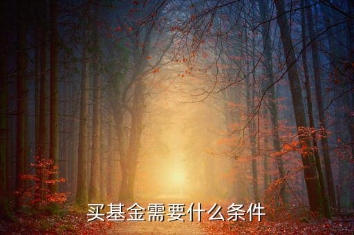 買基金有什么條件，買基金都需要什么條件啊