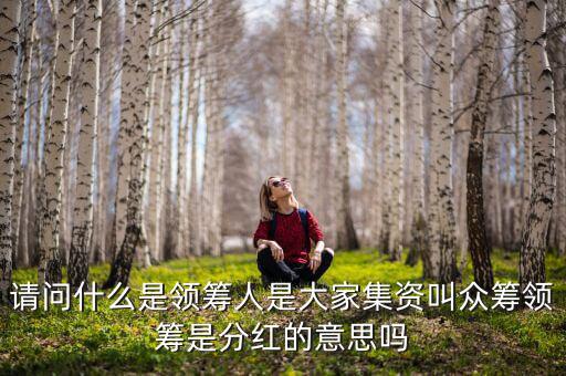 什么是領(lǐng)投人，請(qǐng)問(wèn)什么是領(lǐng)籌人是大家集資叫眾籌領(lǐng)籌是分紅的意思嗎