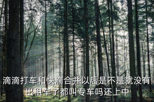 滴滴快滴合并叫什么，滴滴快的合并后叫什么