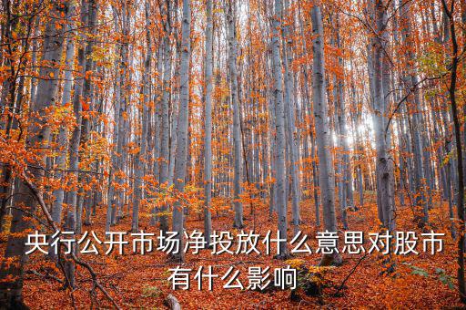 什么是央行凈投放，央行凈投放是甚么意思