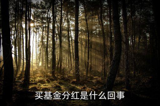 基金為什么分紅，買基金分紅是什么回事