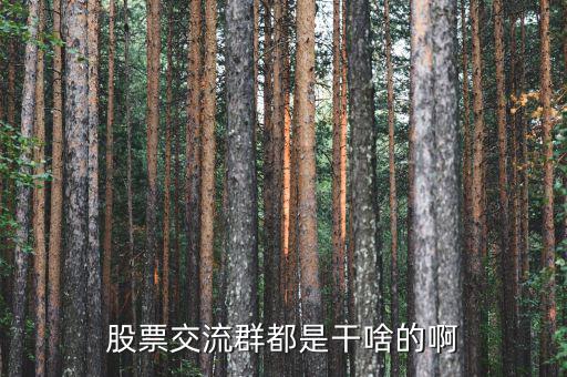 股吧里加群是什么，東方財(cái)富網(wǎng)股吧 里說(shuō)的 群怎么加