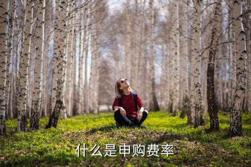 申購費(fèi)率是什么，基金里面的購回費(fèi)率和申購費(fèi)率是什么意思啊舉個(gè)例子唄