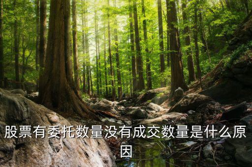 股票沒(méi)有成交量是什么情況，為什么股票沒(méi)有成交