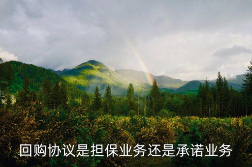 資產(chǎn)回購協(xié)議屬什么合同，股權(quán)轉(zhuǎn)讓及回購協(xié)議屬于借款合同嗎