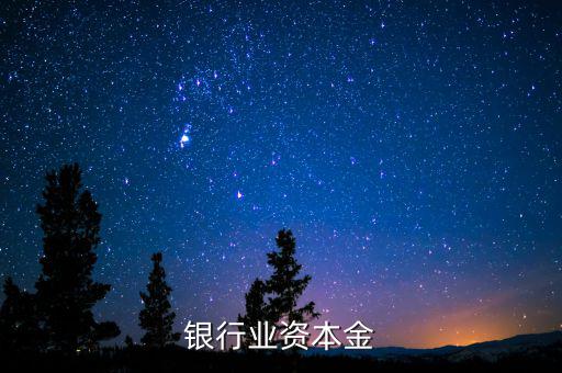 銀行資本金是什么，銀行業(yè)資本金