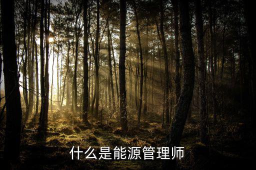 什么是能源沙，煤沙是什么是煤沒有燃燒之前篩選出來的還是燃燒過之后產(chǎn)生的