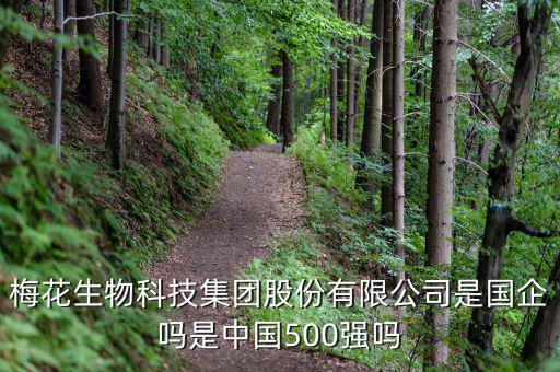 梅花生物是什么板塊，梅花生物科技集團股份有限公司是國企嗎是中國500強嗎