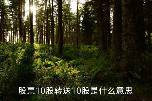 十股轉(zhuǎn)贈(zèng)十股是什么意思，股票10股轉(zhuǎn)送10股是什么意思