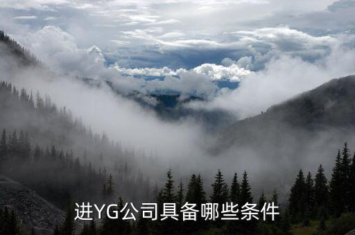進(jìn)信托公司有什么要求，進(jìn)YG公司具備哪些條件