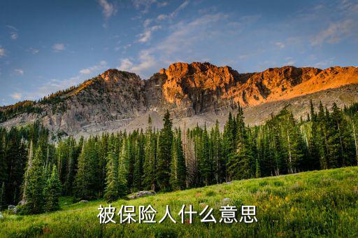 交強(qiáng)險(xiǎn)中的被保險(xiǎn)人是什么意思，什么是交強(qiáng)險(xiǎn)合同的被保險(xiǎn)人