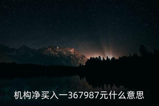 機(jī)構(gòu)凈買(mǎi)入一367987元什么意思