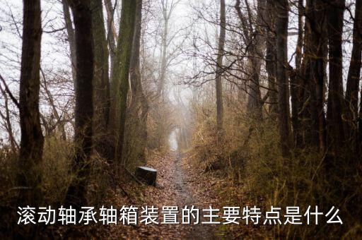 什么是軸箱軸承，什么是軸承