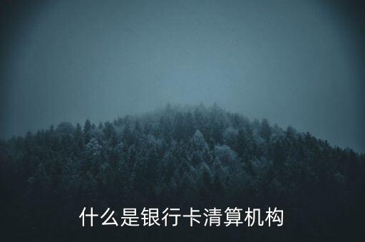 同一卡組織清算機構(gòu)指什么，銀行卡清算機構(gòu)銀行支付機構(gòu)到底有什么區(qū)