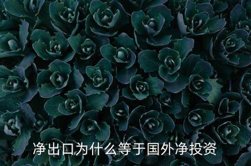 國外凈投資是什么，凈出口為什么等于國外凈投資