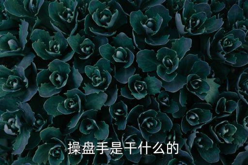股票操盤手做什么，操盤手是干什么的