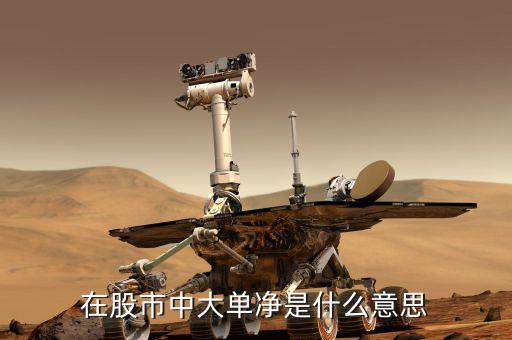 大單凈值什么意思，大單凈比是什么意思