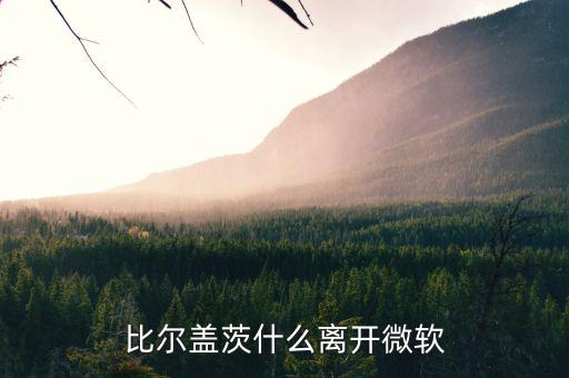比爾蓋茨為什么退出微軟，比爾蓋茨什么離開微軟